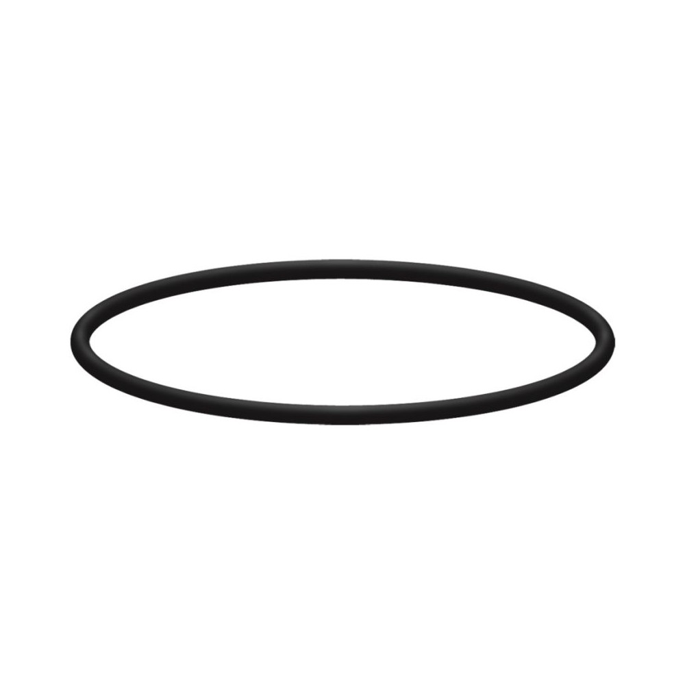 Replacement ring for filter housings for washdown filter bowls