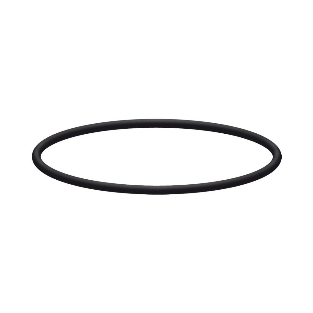 O-ring for filter housings washdown component