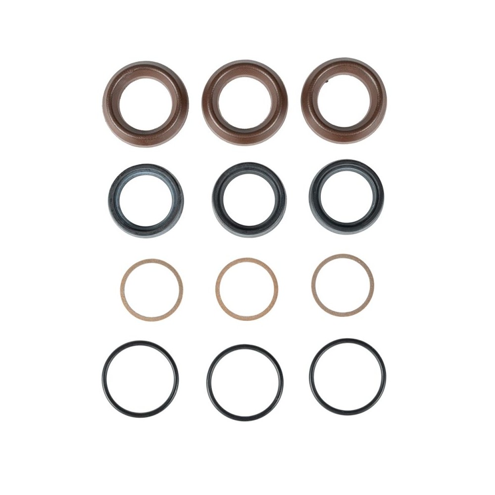Genuine annovi reverberi seal kit 42469 for three-piston pumps