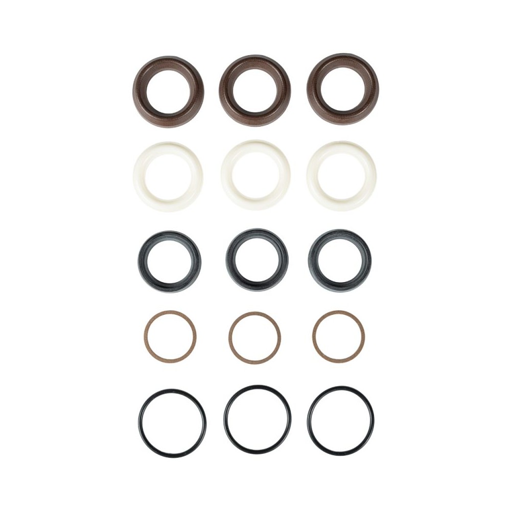 Annovi Reverberi seal kit for 3 pistons, genuine kit 42549