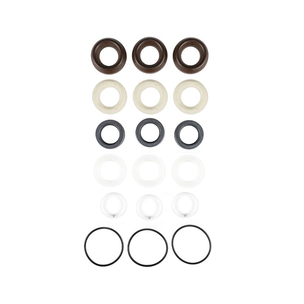 Annovi Reverberi seal kit 42171 for three-piston pumps