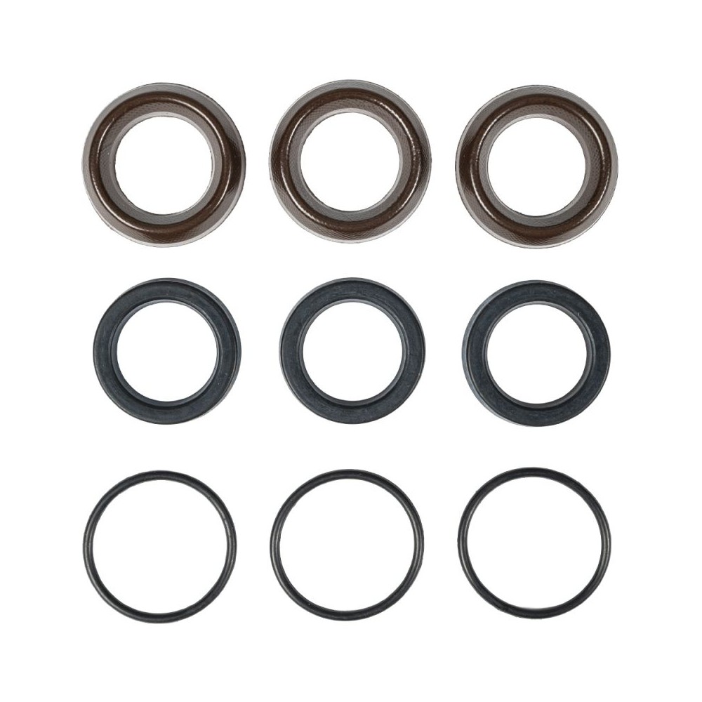 Annovi Reverberi seal kit 2747 for three-piston pumps