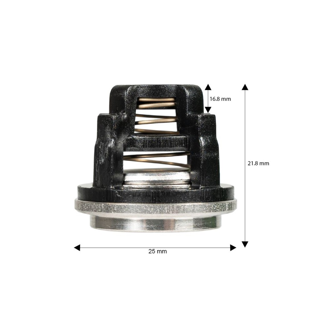 Annovi Reverberi valve kit with six genuine pump valves