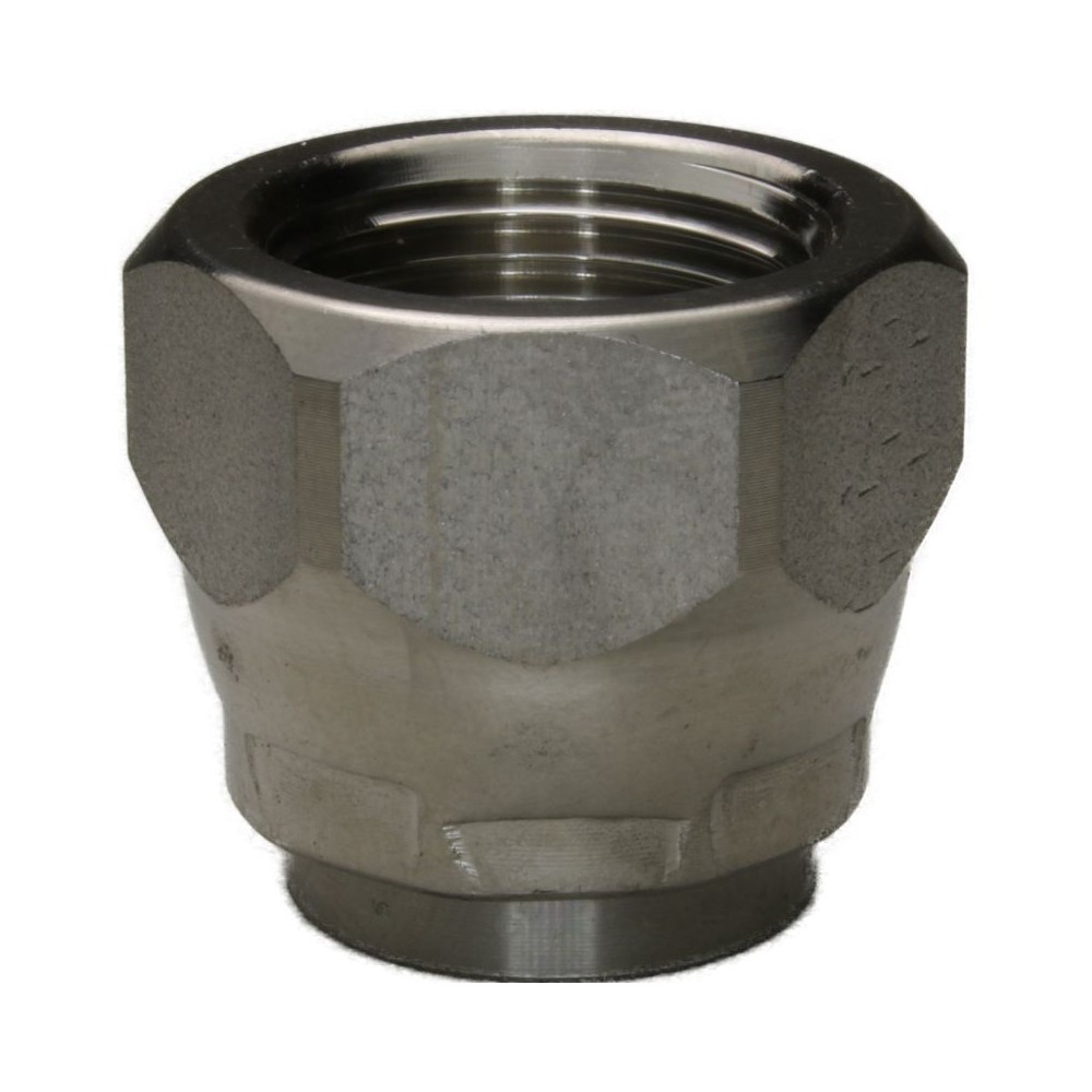 Stainless steel 1/8" female blanking cap fitting