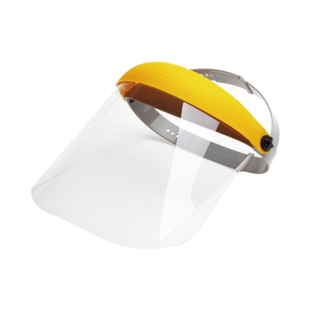 Flip up face shield for washdown cleaning