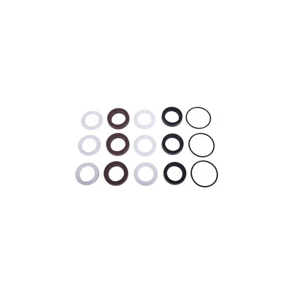 Interpump kit seal kit for high-pressure pumps