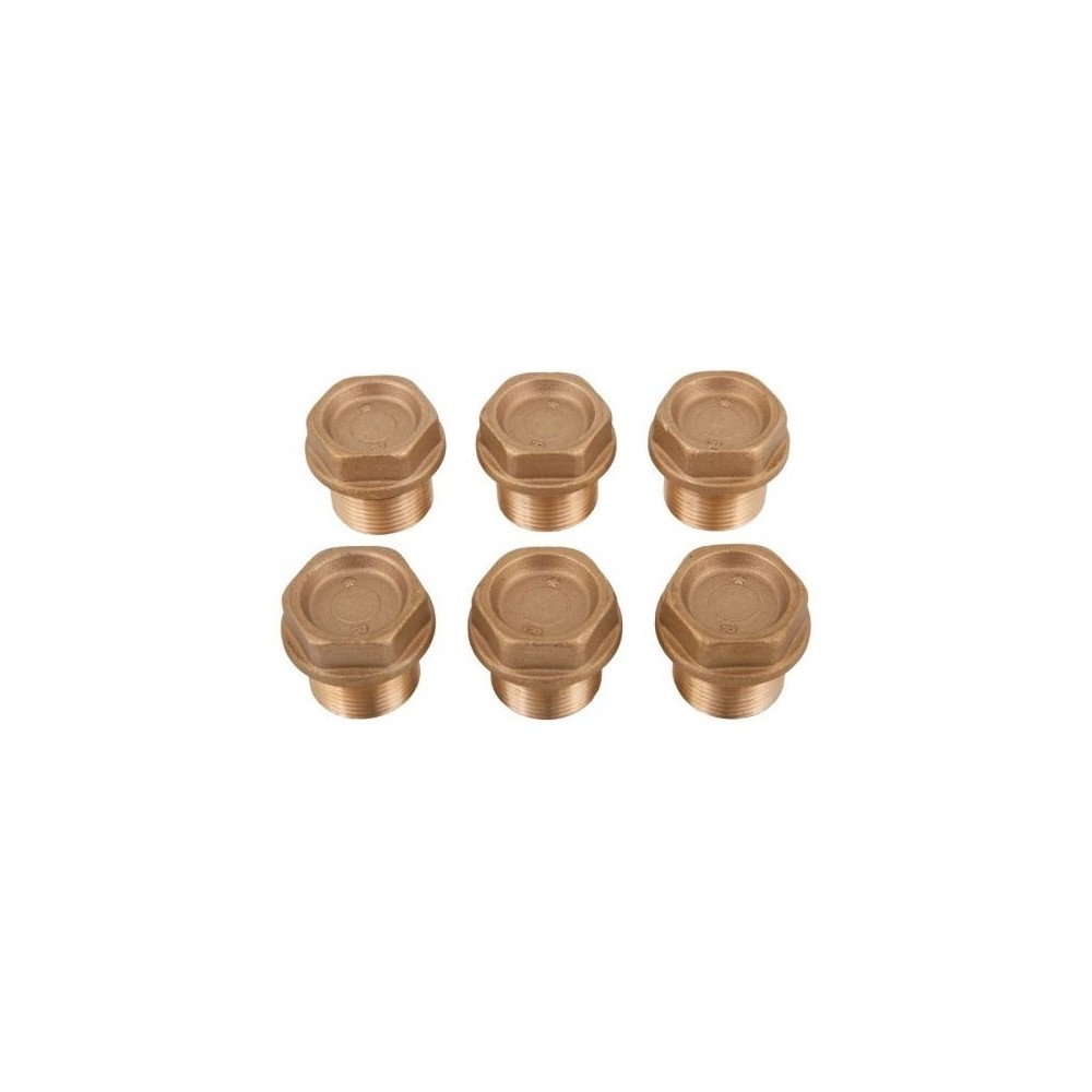Interpump kit brass valve plugs set of six