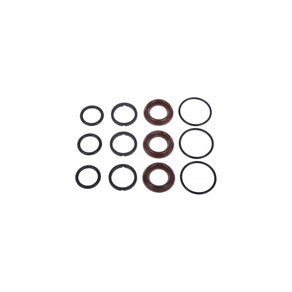 Interpump kit seal kit for pressure-washing pumps