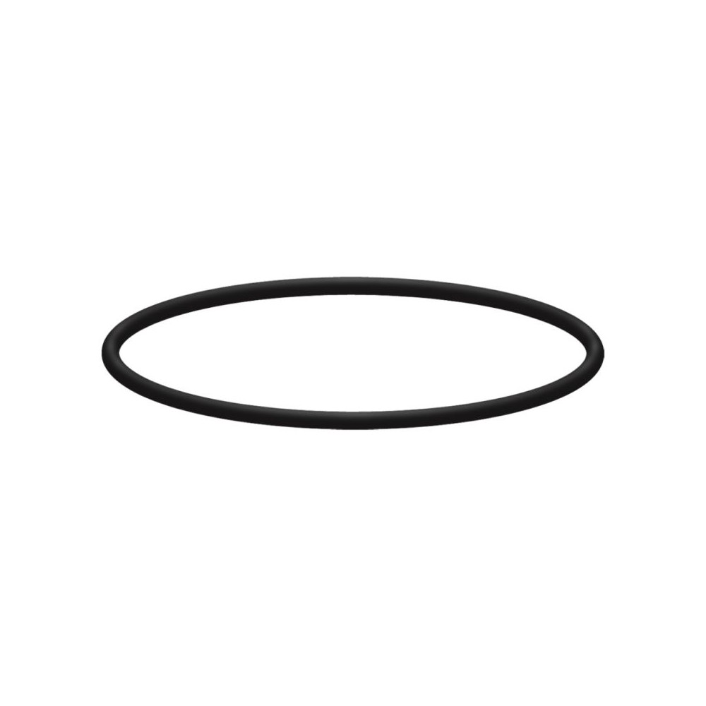 Interpump ring O-Ring for RM filter cap washdown seal