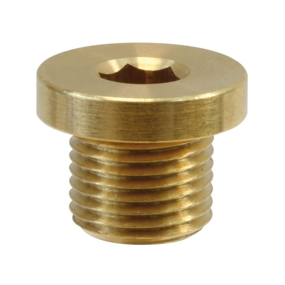 Brass male plug with rim 1/2" washdown fitting