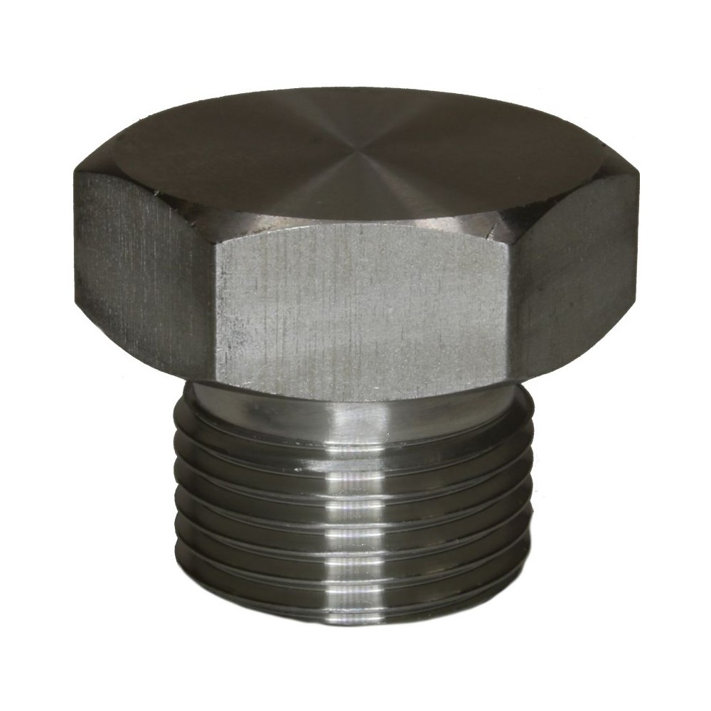 Stainless steel male plug with rim 1/4" hex fitting