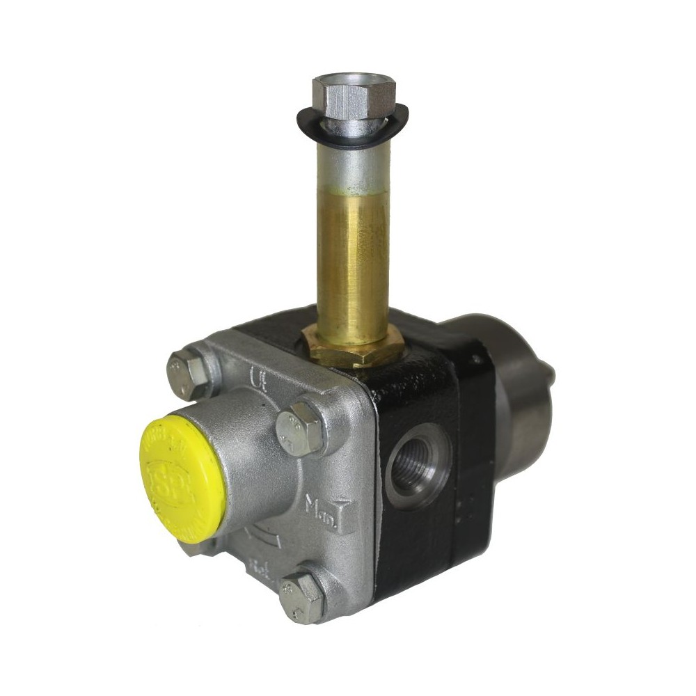 Mazzoni 12V fuel pump for 30 litre boiler