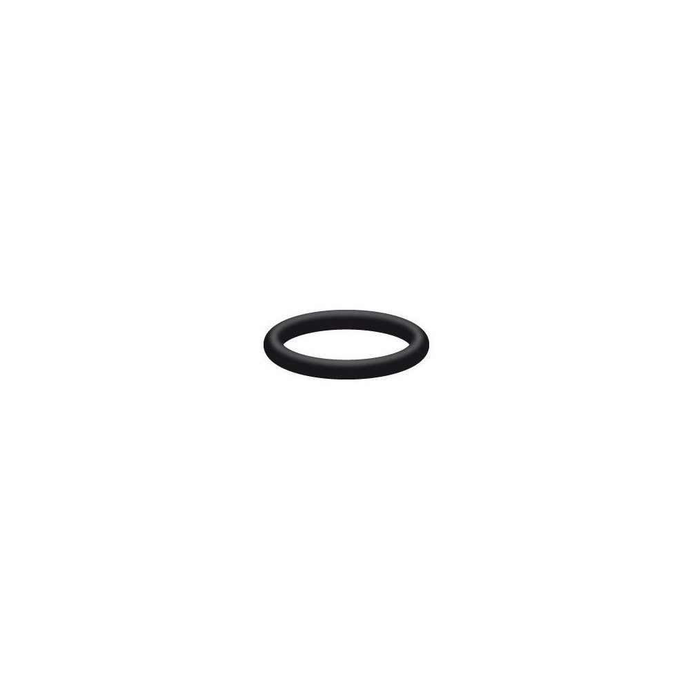 Small O-ring for high pressure orifice plate injector