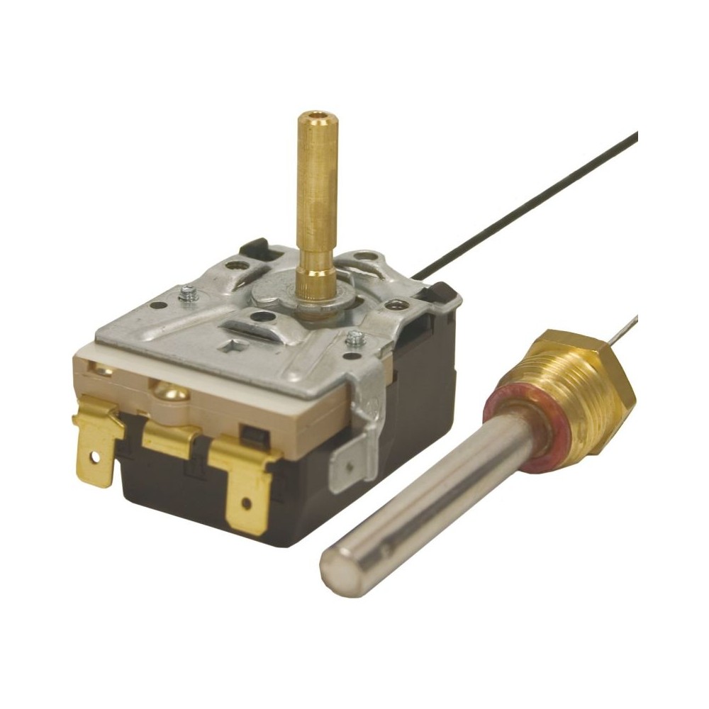 Thermostat Emerson 30-150°C washdown component with probe